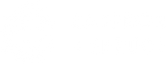 Saffron + Spruce